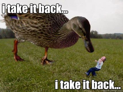 The Put It Back meme has become one of the most popular and widely-shared memes of all time. . Taking it back meme